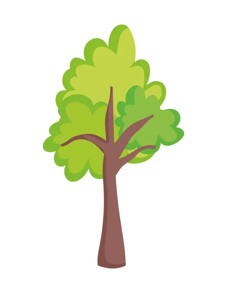 Vegetación árbol follaje naturaleza ecología icono — Vector de stock