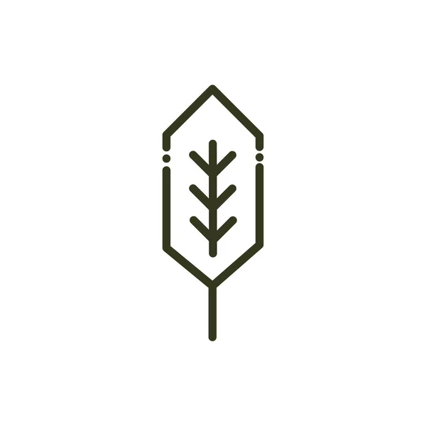 Leaf foliage ecology nature line design — Vetor de Stock