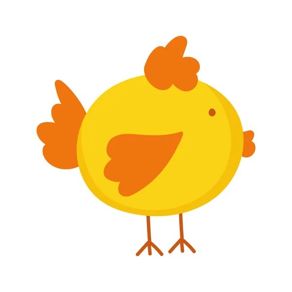 Chicken bird domestic farm animal cartoon — Stok Vektör