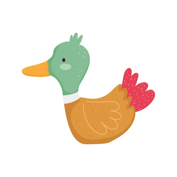 Duck poultry bird farm animal cartoon — 스톡 벡터