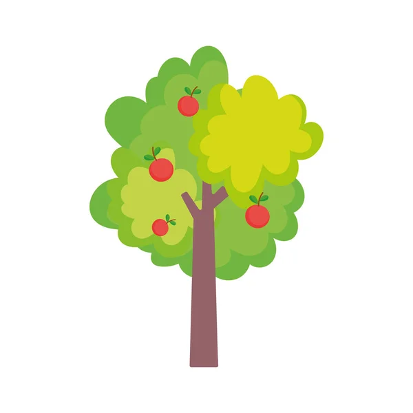 Fruits tree apples harvest farm icon — Wektor stockowy