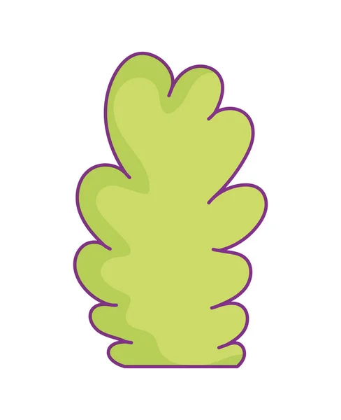 Green bush foliage organic nature icon design — Stock Vector