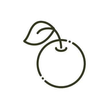 fresh fruit orange harvest nature line design