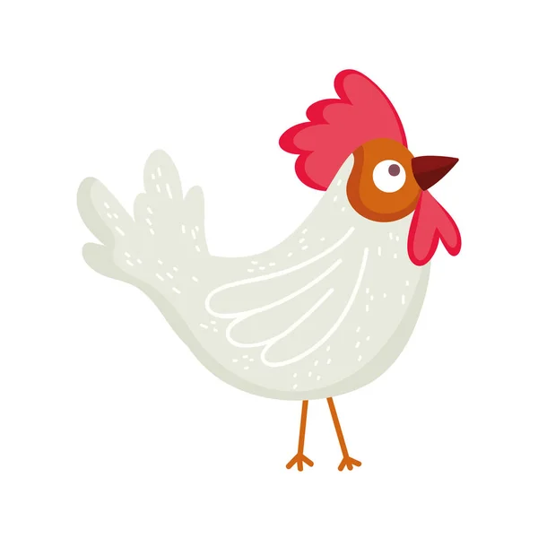 Kohout drůbež pták farma zvíře karikatura — Stockový vektor