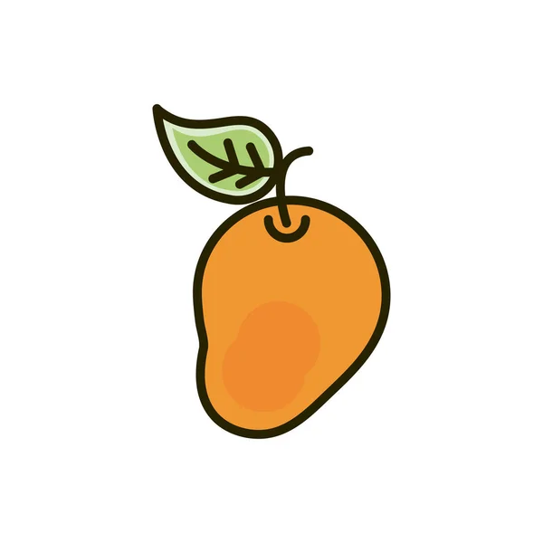 Cosecha fresca de mango de frutas natural dibujo — Vector de stock