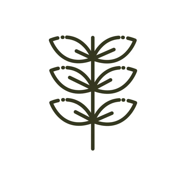 枝葉自然線デザイン — ストックベクタ