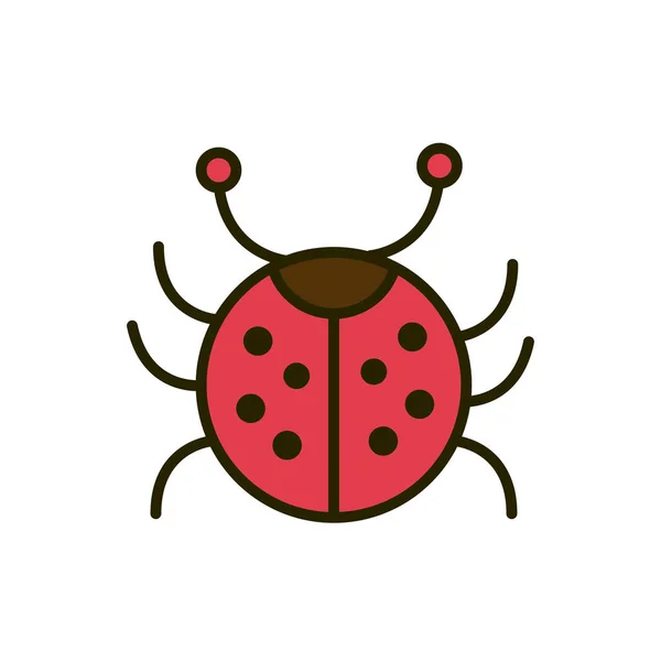 Lieveheersbeestje insect wild natuur tekening — Stockvector