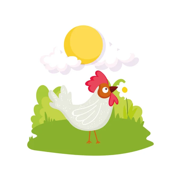 Rooster bird flower grass sun farm animal cartoon — Wektor stockowy