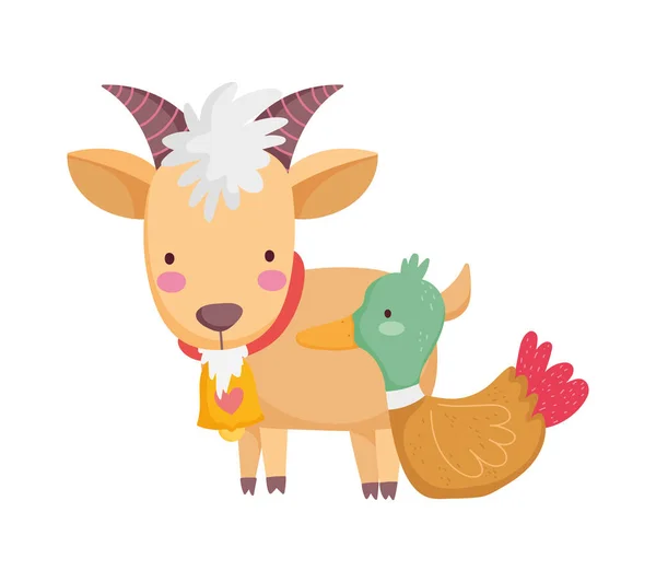 Goat with bell duck farm animal cartoon — Stockový vektor