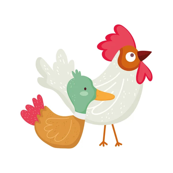 Rooster and duck farm animal cartoon — Wektor stockowy