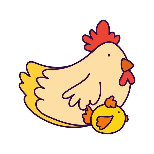 Cute hen and chicken birds farm animal cartoon — Vector de stock