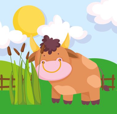 Boğa çitleri, güneş, çiftlik hayvanlarını bulutlar.