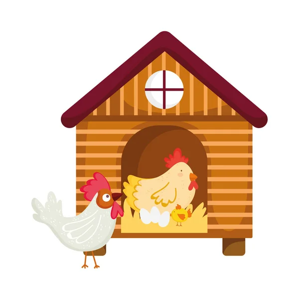 House hen rooster chicken and eggs farm animal cartoon — 图库矢量图片