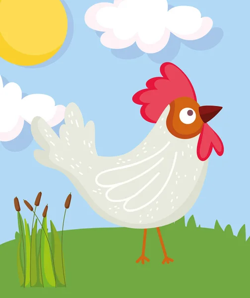 Coq oiseau herbe soleil animal de ferme dessin animé — Image vectorielle