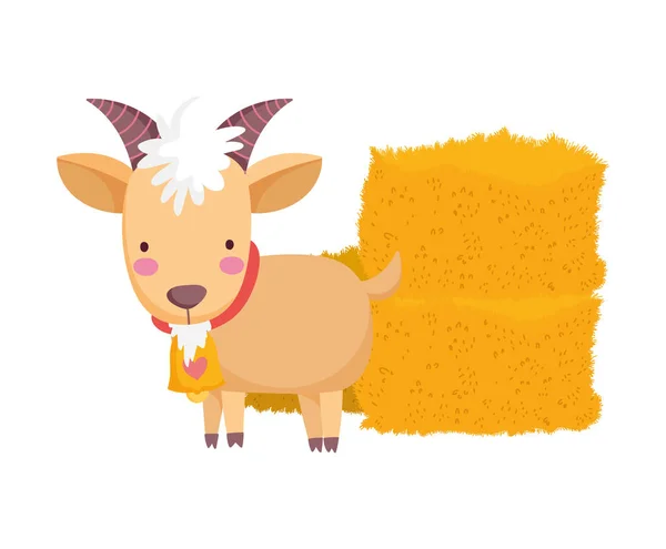 Dibujos animados de cabras y hatos de granja — Vector de stock