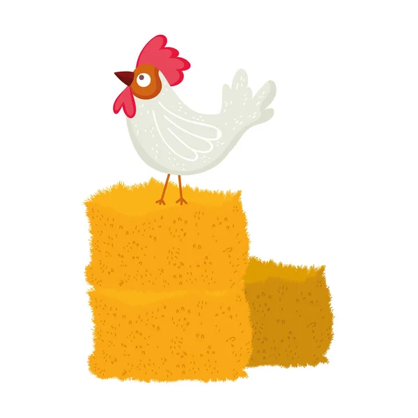 干草农场的公鸡动物漫画 — 图库矢量图片