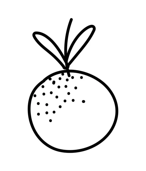 Trópusi friss gyümölcs narancs ikon design vastag vonal — Stock Vector