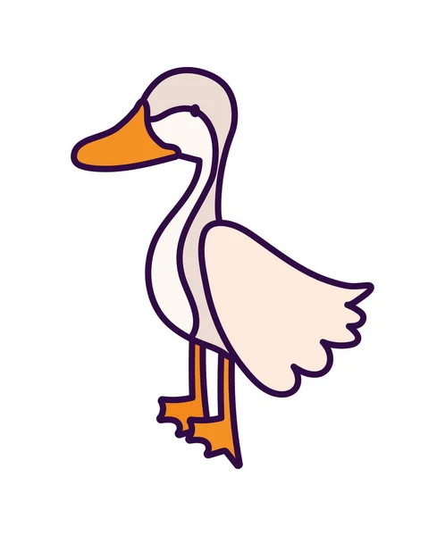 Goose bird poultry farm cartoon animal — 图库矢量图片