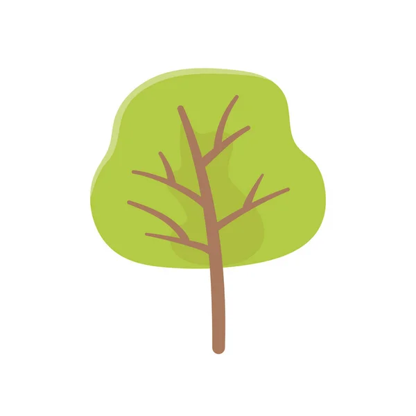 Greenery tree foliage botanical nature icon — Stok Vektör