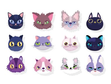 Yüzler farklı kediler evcil hayvan çizgi filmleri.