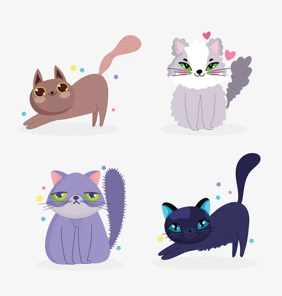 Lindo gatos sentado encantador adorable doméstico dibujos animados animal, colección de mascotas — Vector de stock