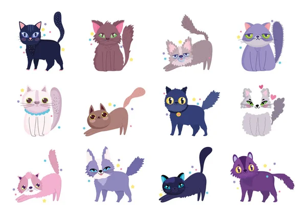 Söt katt olika raser tamdjur tecknad serie, katter husdjur — Stock vektor