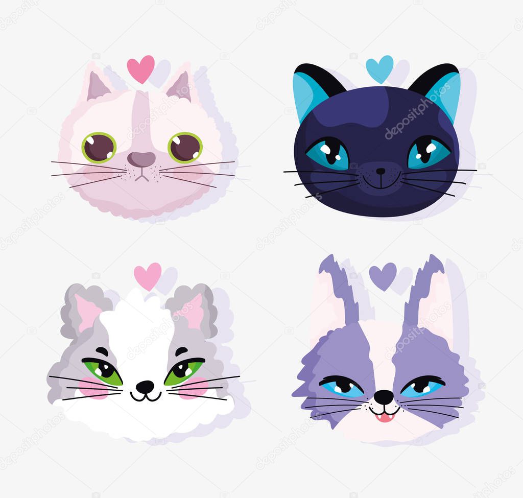 cute faces cats love domestic cartoon animal, collection pets