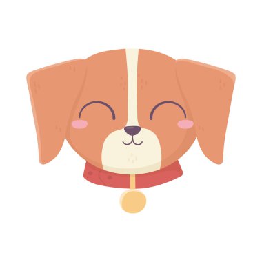 sevimli yüz tasması madalyonu evcil hayvan, evcil hayvan