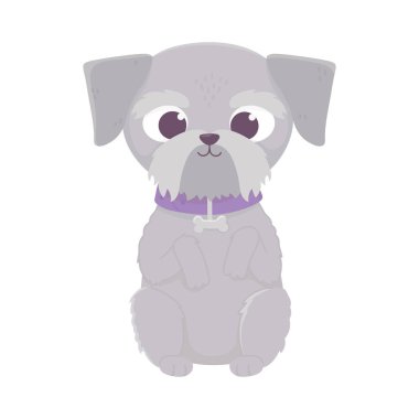 cute dog sitting domestic cartoon animal, pets