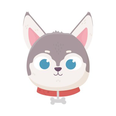cute face dog collar with bone domestic cartoon animal, pets