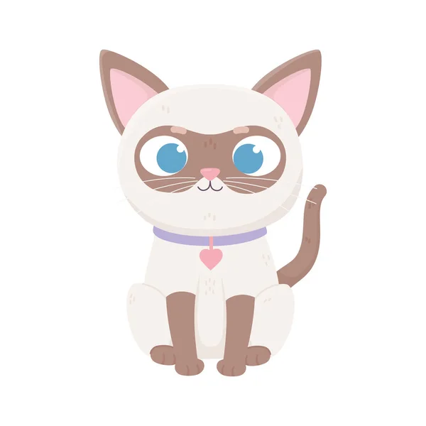 Gato siamés con cuello corazón, mascotas — Vector de stock