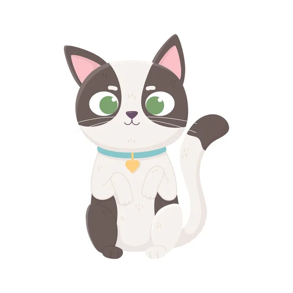 Pequeño gato manchado con collar doméstico, mascotas — Vector de stock