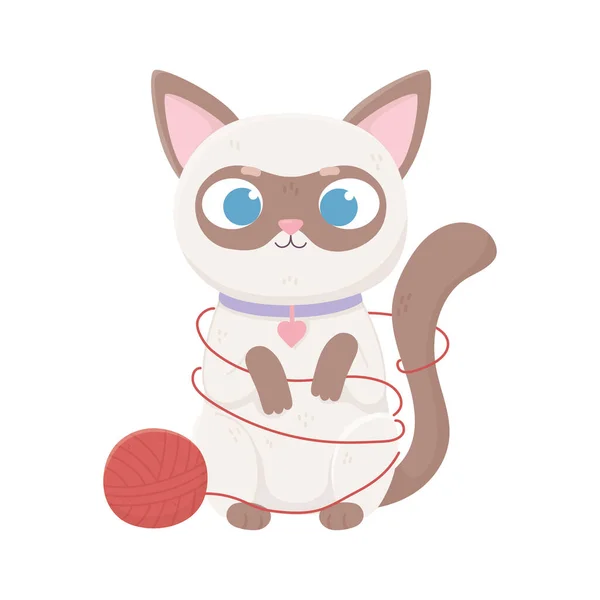Cute siamese cat with wool ball, pets — Stock Vector