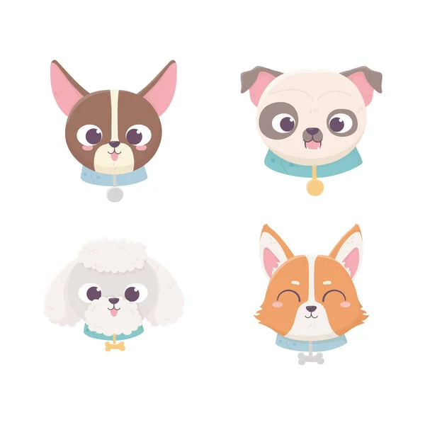 Visages mignons chien pedigree différents animaux de dessin animé domestique, animaux de collection — Image vectorielle