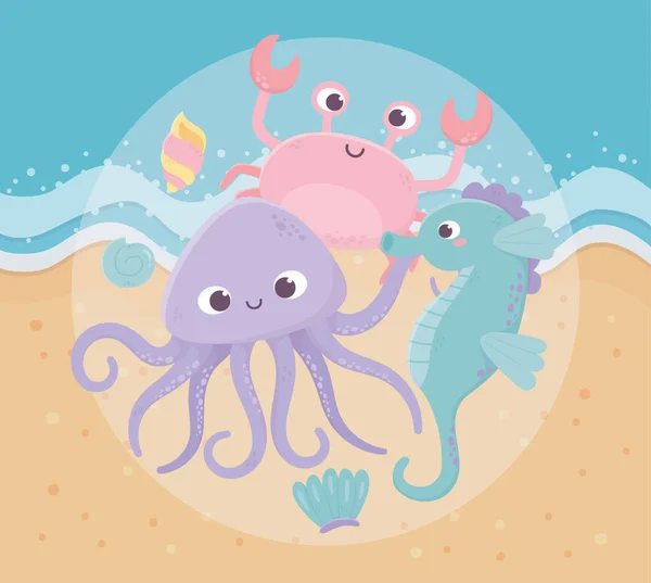 Seashore octopus seahorse crab algae sand life cartoon under the sea — Stockový vektor