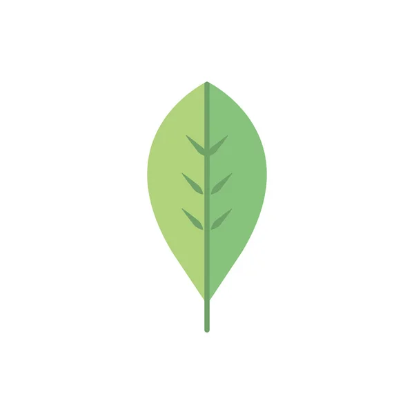 叶绿叶自然植物学 — 图库矢量图片