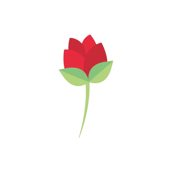 Flower petal stem decoration natural floral botanical icon — Stock vektor