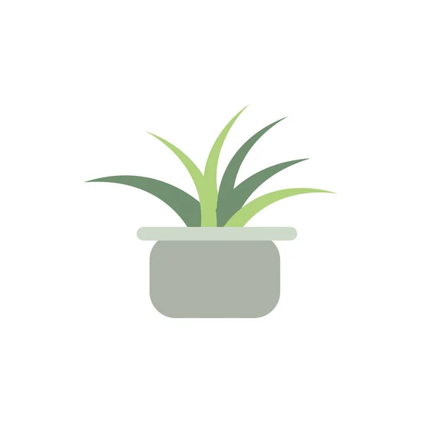 Potted plant leaves natural floral botanical — 스톡 벡터