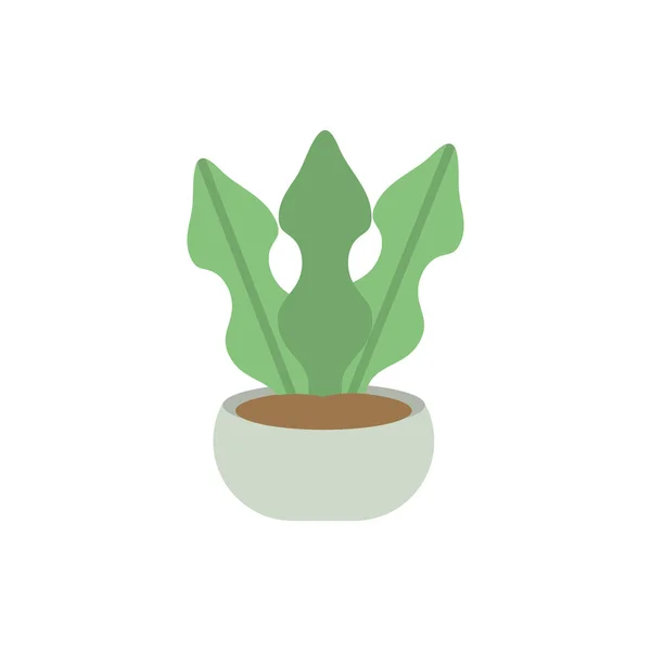 Potted leaves decoration natural floral botanical — Wektor stockowy