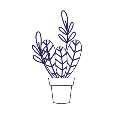 potted plant leaves foliage decoration ornament