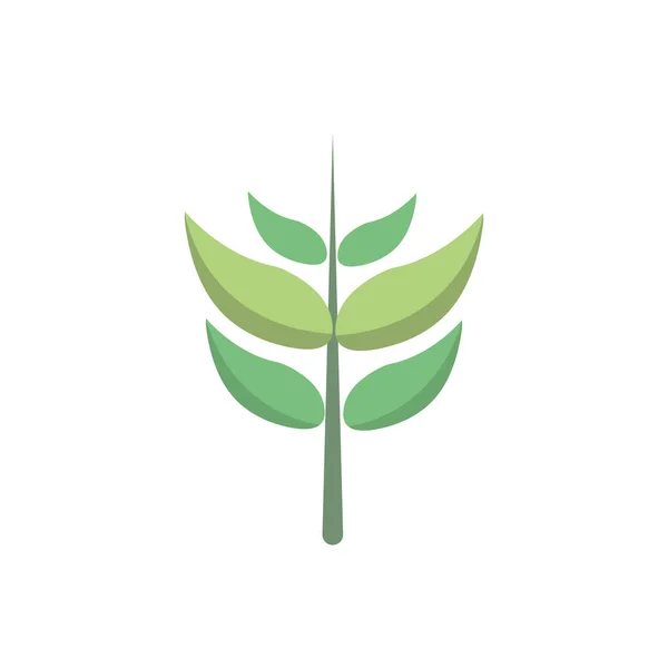 Feuillage ramifié feuilles botaniques florales naturelles — Image vectorielle
