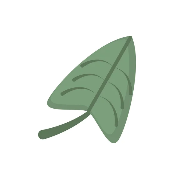 葉は天然の花の植物 — ストックベクタ
