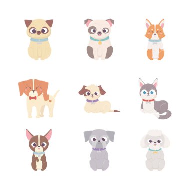 cute dog domestic cartoon animal, set pets