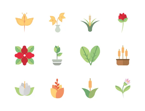 Цветочная листва декорации природные цветочные ботанические иконы набор — стоковый вектор