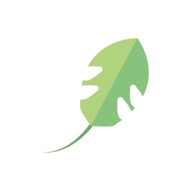 Yaprak yaprakları doğal bitki bitkileri.