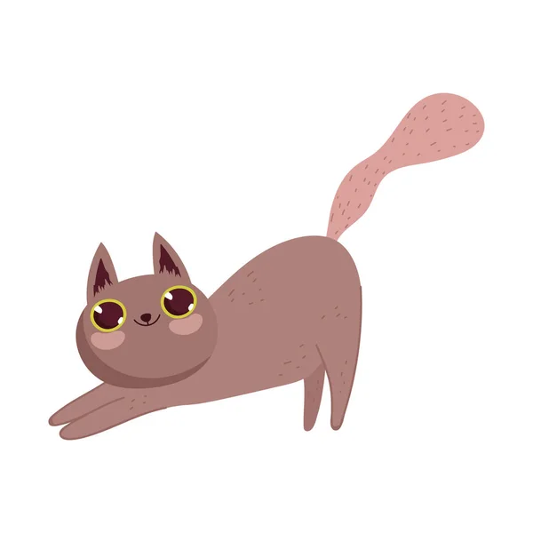 Drôle étirement chat dessin animé personnage félin animaux — Image vectorielle