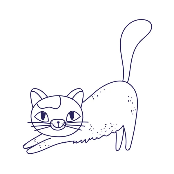 可爱的猫卡通人物宠物系列设计 — 图库矢量图片