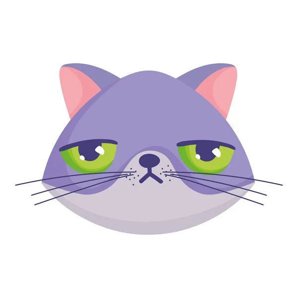 Mrzutý kočka tvář kreslený charakter mazlíčci — Stockový vektor