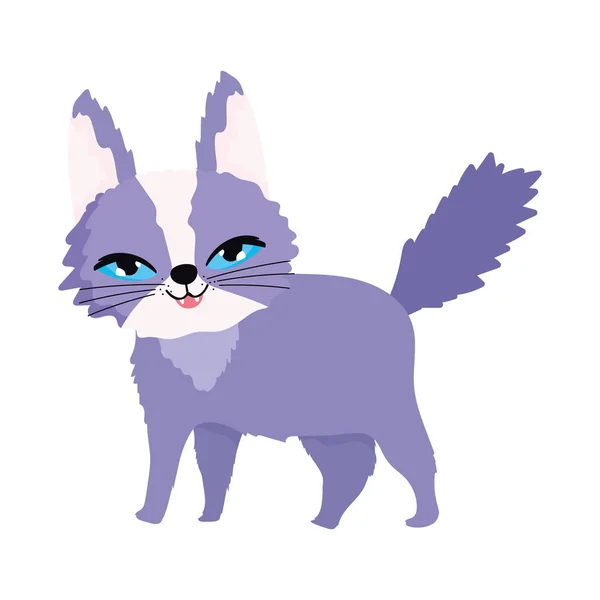 Aranyos macska rajzfilm macska karakter háziállat — Stock Vector