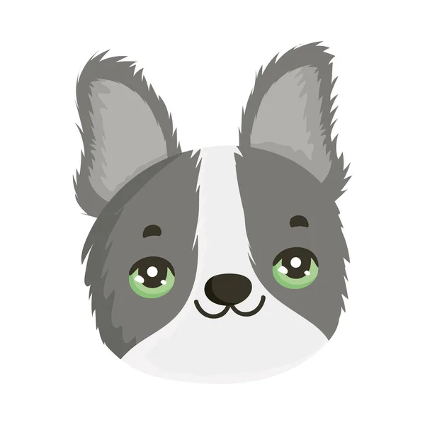 Lindo perro cara poco mascota dibujos animados carácter mascotas — Vector de stock
